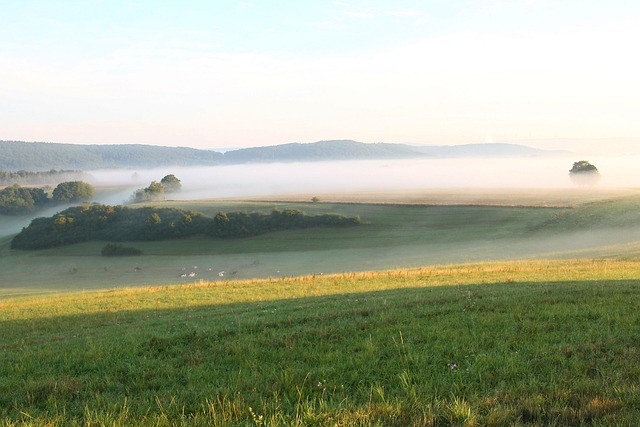 Early morning fog over a rolling countryside landscape